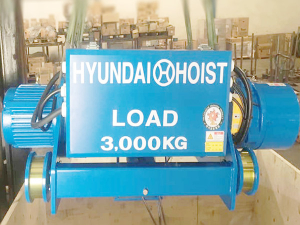 Palang Huyndai 3000 kg